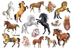 Tattoos for Children Horses (1 pc)
