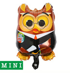 Mini Wise Owl Folienballon