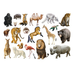 Tierwelt - Tattoos für kleine Entdecker (1 Stück)