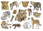 Kindertattoos Leopard, Tiger, Löwe (1 Stück)
