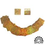 Pailletten Holographisch Gold 100 Stück für Paillettentafeln (30cm*30cm)