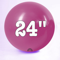 24 cali