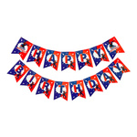 Happy Birthday Sonic paper garland (1 pc)