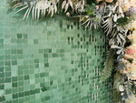 Shimmer Walls Dark Green Macaron(30cm*30cm)